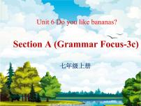 初中英语人教新目标 (Go for it) 版七年级上册Section A说课课件ppt