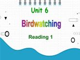 2021年初中英語牛津譯林版（2012）八年級上冊 Unit 6 reading1 課件