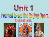 Module 5 Unit 1课件2021-2022学年外研版英语八年级上册