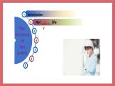2021-2022學(xué)年初中英語九年級(jí)上冊(cè)牛津譯林版Unit 7 Films 第2課時(shí) Reading課件