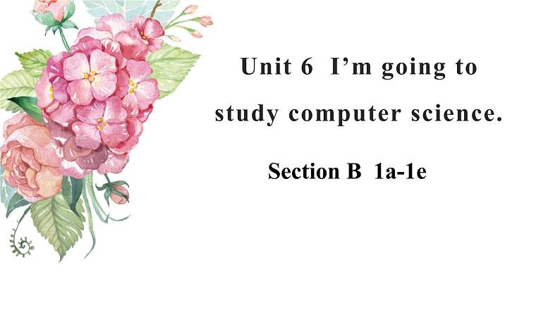 Unit 6  I’m going to study computer science  Section B  1a-1e课件01