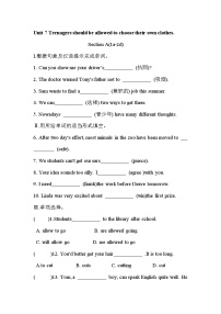 英语九年级全册Section A一课一练