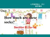 人教版英语七年级上册Unit 7 Section B (1a-1e) 课件