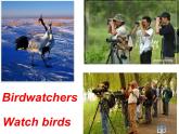 牛津译林版英语 八上8A Unit6 Birdwatching Main Task课件+教案