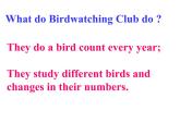 牛津译林版英语 八上8A Unit6 Birdwatching Main Task课件+教案