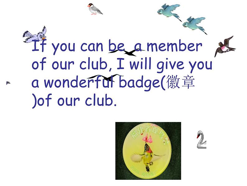 8A Unit6 Birdwatching Main Task教案第5页