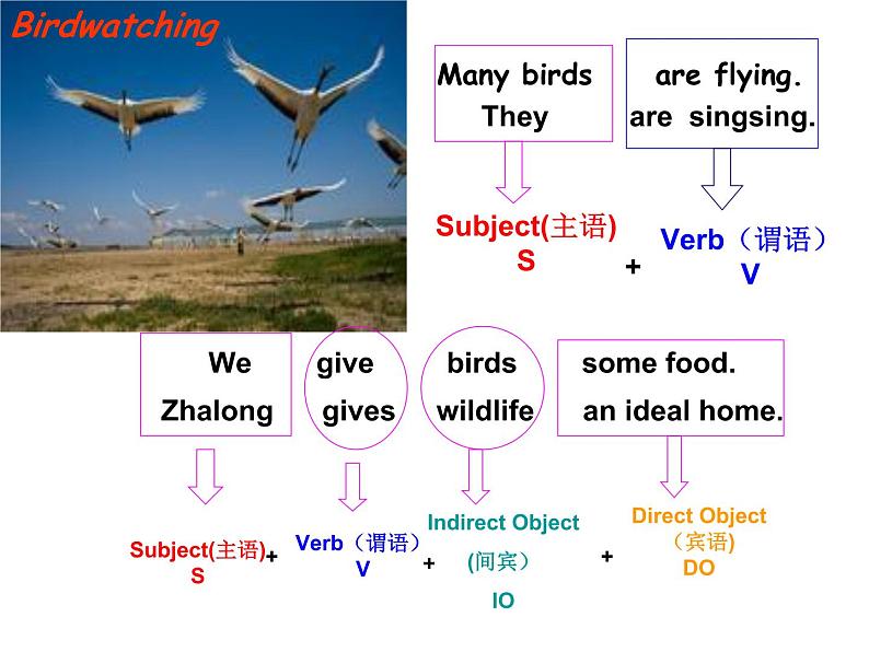 牛津译林版英语 八上8A Unit6 Grammar 课件+教案+视频07