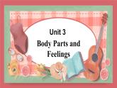 Unit 3 Lesson 14 Colours and Feelings 教学课件 初中英语冀教版七年级上册（2021年）