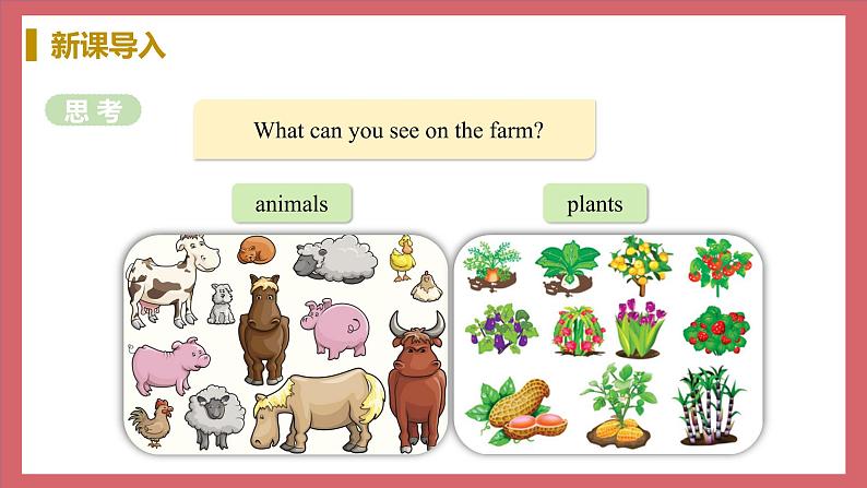 Unit 6 Lesson 34 On the Farm 教学课件 初中英语冀教版七年级上册（2021年）06