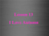 八年级英语上册 Unit 3 Lesson 13 I Love Autumn课件2 （新版）冀教版