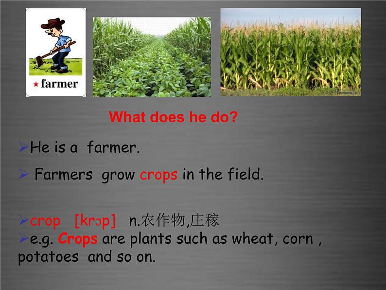 八年级英语上册 Unit 5 Lesson 28 Rich or Poor It doesn’t matter课件 （新版）冀教版第3页