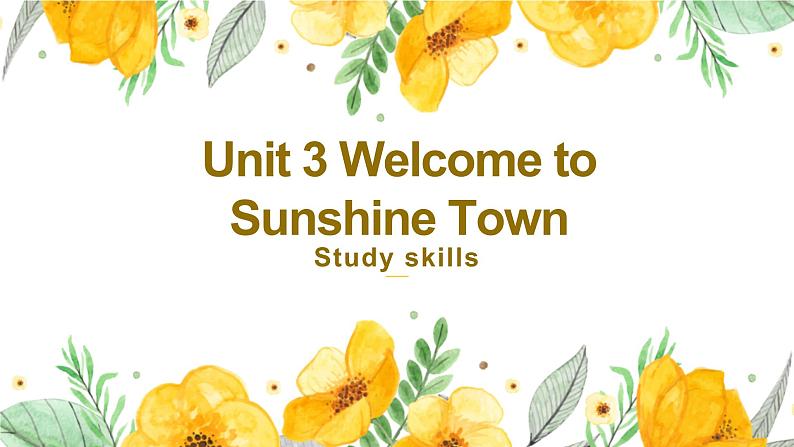 牛津译林版英语七下Unit3WelcometoSunshin第六课时Studyskills课件+教案01