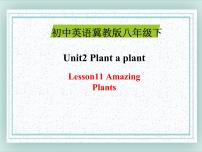 初中英语冀教版八年级下册Lesson 11 Amazing Plants备课ppt课件