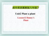 八年级英语下册 Unit 2 Lesson12 课件