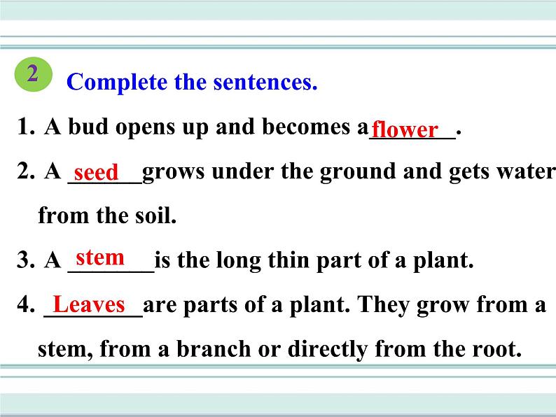 Unit 2 Lesson12 课件第7页