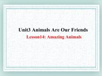 八年级下册Unit 3 Animals Are Our FriendsLesson 14 Amazing Animals图文ppt课件