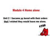Module 4 Unit2 Home alone课件2021-2022学年外研版英语八年级上册