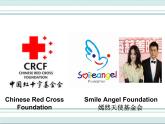 牛津译林版英语八下 Unit 7 International charities 课件4