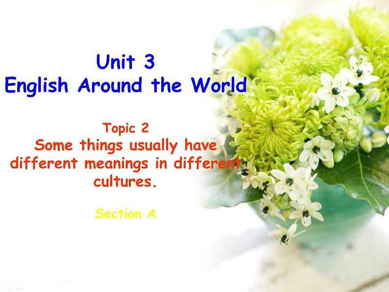 Unit3 Topic 2 Section A第1页