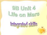 译林牛津版9下 Unit 4 Integrated Skills课件 (共32张PPT)