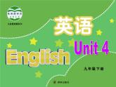 译林牛津版9B Unit 4 reading II 教学课件 (共27张PPT)