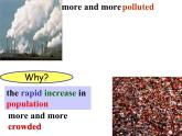 译林牛津英语9B Unit4 reading (共35张PPT)课件PPT