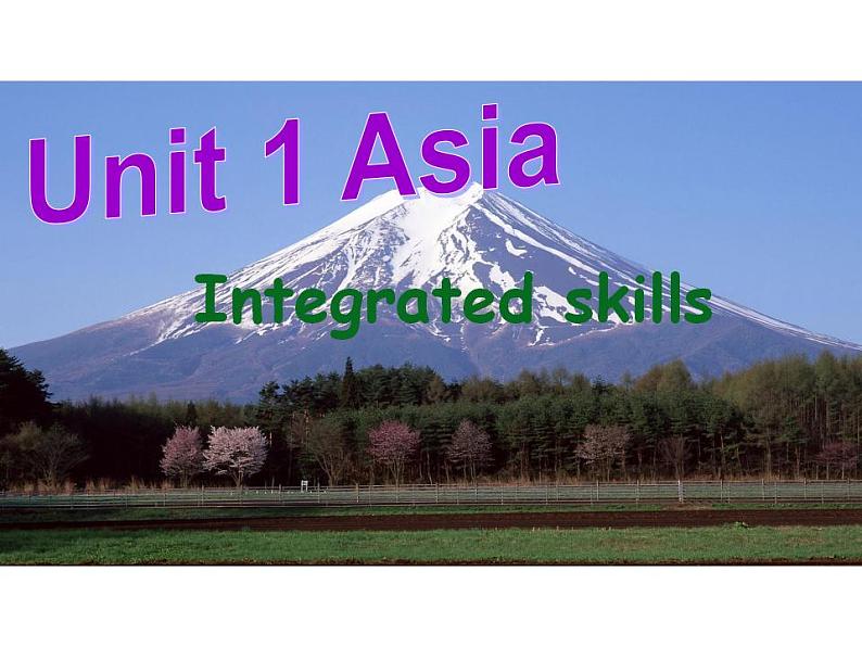 2021-2022学年牛津译林版英语九年级下册 Unit1 Integrated skills 课件第1页