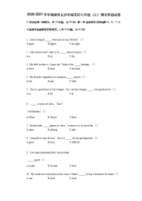 2020-2021学年湖南省长沙市雨花区七年级（上）期末英语试卷