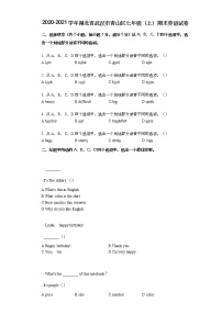 2020-2021学年湖北省武汉市青山区七年级（上）期末英语试卷