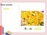 冀教版英语九年级上册 Unit 1 lesson 3课件PPT
