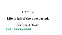 2021学年Unit 12 Life is full of the unexpectedSection A说课ppt课件
