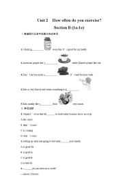 初中英语人教新目标 (Go for it) 版八年级上册Section B随堂练习题