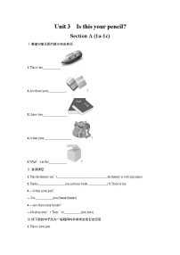 初中英语人教新目标 (Go for it) 版七年级上册Section A当堂达标检测题