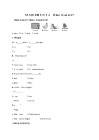 七年级上册starters 预备篇（2012秋审查）Unit 3 What color is it ?巩固练习