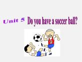 7【名师课件】Unit 5 Do you have a soccer ball Section B课件1