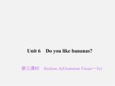 2【练闯考】Unit 6 Do you like bananas（第3课时）Section A（Grammar Focus-3c）课件