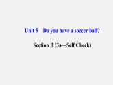 3【世纪金榜】Unit 5 Do you have a soccer ball？Section B（3a—Self Check）课件