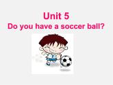 6【名师课件】Unit 5 Do you have a soccer ball Section B Period One课件