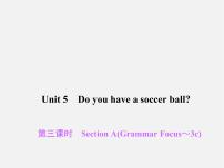 人教新目标 (Go for it) 版七年级上册Unit 5 Do you have a soccer ball?Section A备课ppt课件