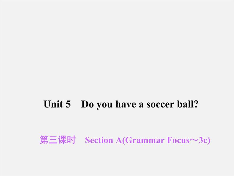 2【练闯考】Unit 5 Do you have a soccer ball（第3课时）Section A（Grammar Focus-3c）课件第1页