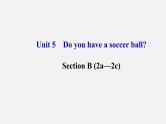 3【世纪金榜】Unit 5 Do you have a soccer ball？Section B（2a—2c）课件
