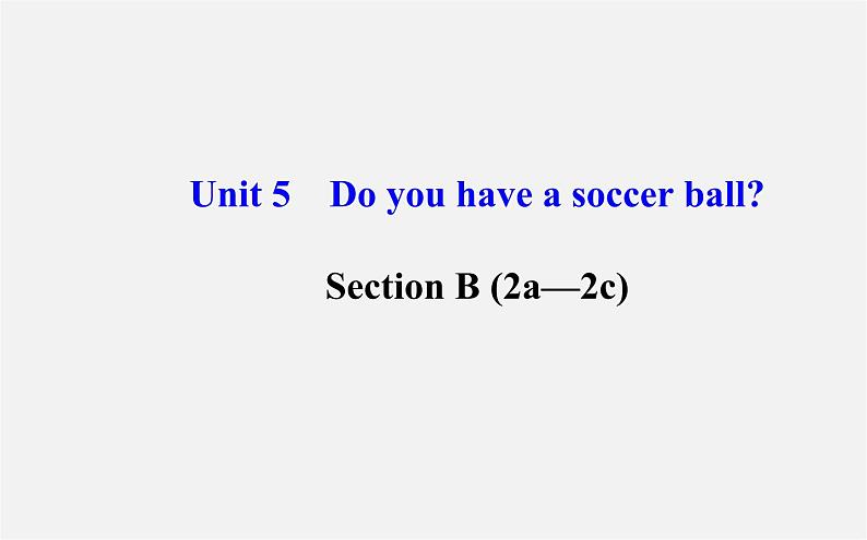 3【世纪金榜】Unit 5 Do you have a soccer ball？Section B（2a—2c）课件第1页