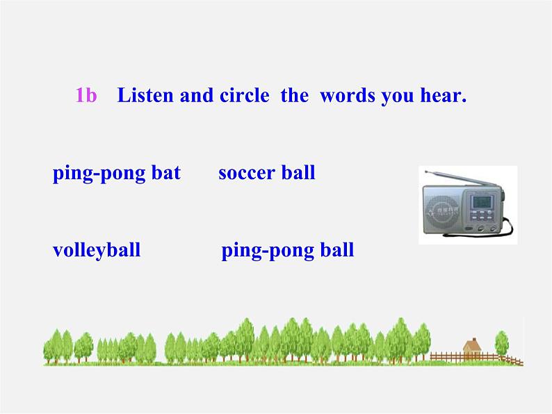 7【名师课件】Unit 5 Do you have a soccer ball Section A课件305