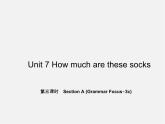 5【名师导航】Unit 7 How much are these socks？（第三课时）Section A(Grammar Focus-3c)课件
