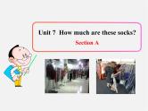 7【名师课件】Unit 7 How much are these socks Section A课件3
