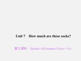 2【练闯考】Unit 7 How much are these socks（第3课时）Section A（Grammar Focus-3c）课件