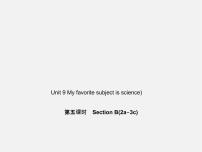 人教新目标 (Go for it) 版七年级上册Unit 9 My favorite subject is science.Section B课文内容ppt课件