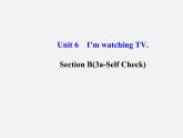 【金榜学案】Unit 6 I’m watching TV Section B(3a-Self Check)课件