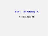 【金榜学案】Unit 6 I’m watching TV Section A(1a-2d)课件