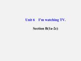 【金榜学案】Unit 6 I’m watching TV Section B(1a-2c)课件